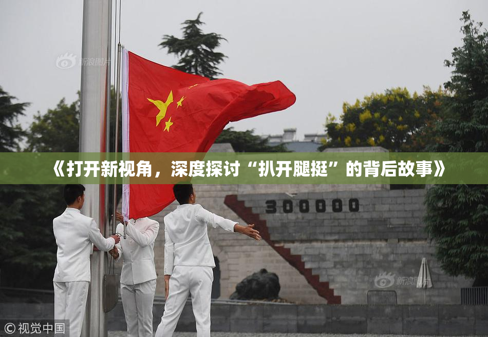 《打开新视角，深度探讨“扒开腿挺”的背后故事》