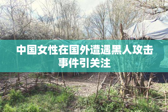 中国女性在国外遭遇黑人攻击事件引关注