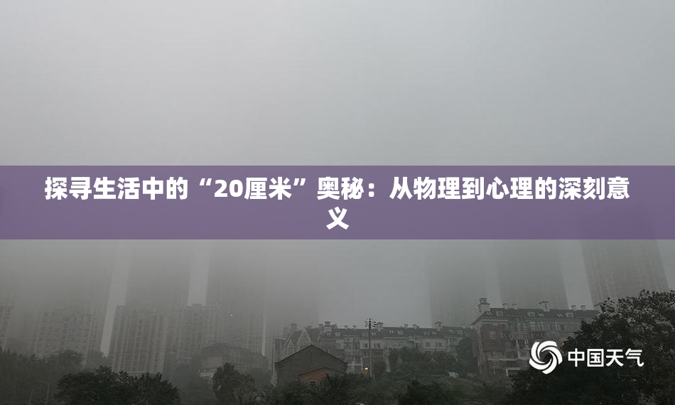 探寻生活中的“20厘米”奥秘：从物理到心理的深刻意义