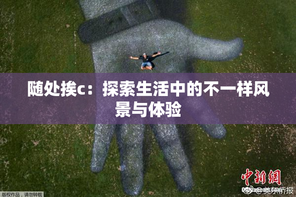 随处挨c：探索生活中的不一样风景与体验