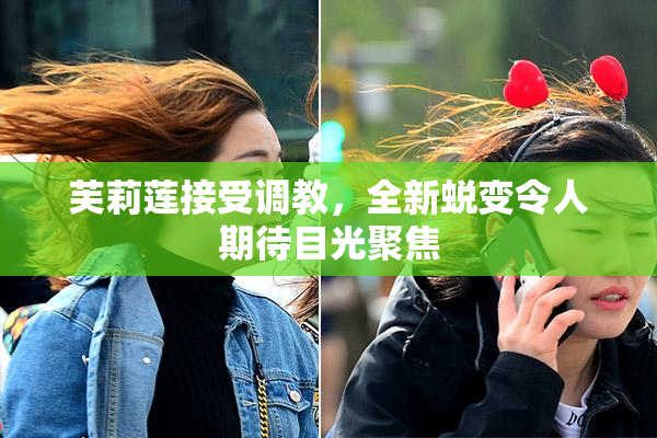 芙莉莲接受调教，全新蜕变令人期待目光聚焦
