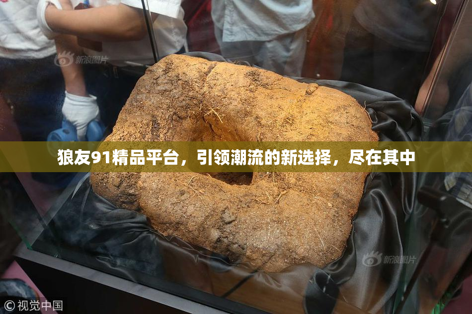 狼友91精品平台，引领潮流的新选择，尽在其中