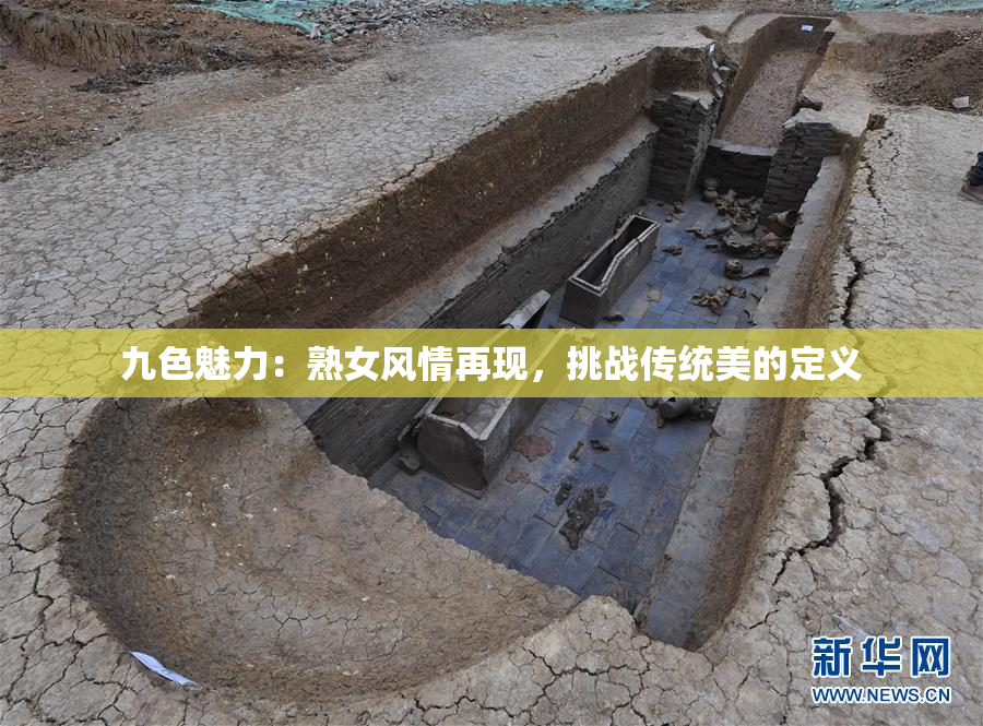 九色魅力：熟女风情再现，挑战传统美的定义