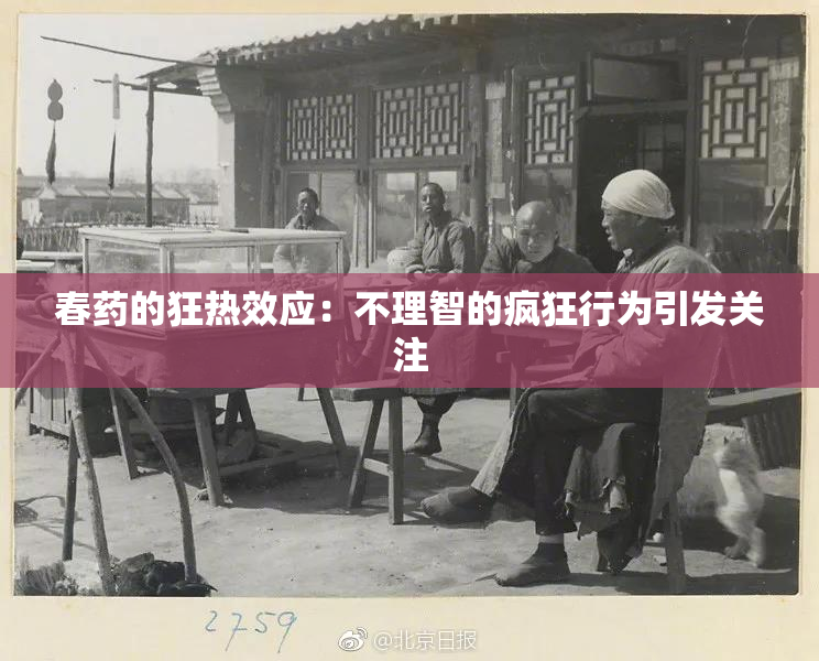 春药的狂热效应：不理智的疯狂行为引发关注
