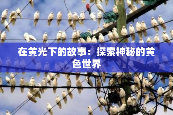 在黄光下的故事：探索神秘的黄色世界