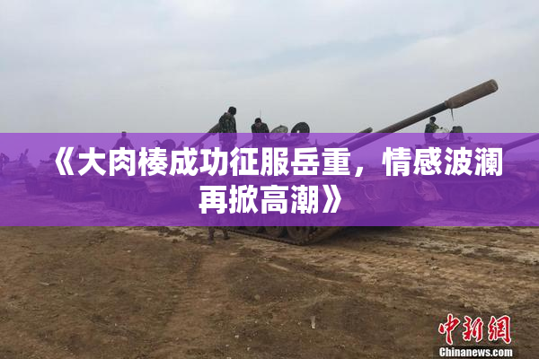 《大肉楱成功征服岳重，情感波澜再掀高潮》