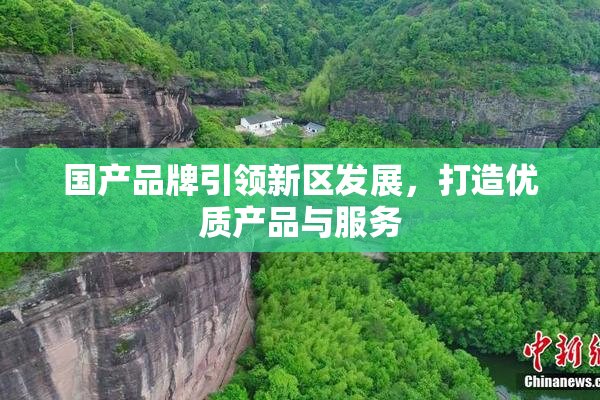 国产品牌引领新区发展，打造优质产品与服务