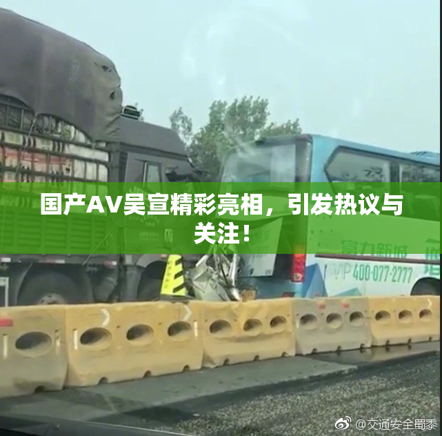 国产AV吴宣精彩亮相，引发热议与关注！