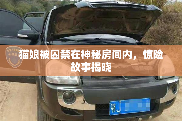 猫娘被囚禁在神秘房间内，惊险故事揭晓