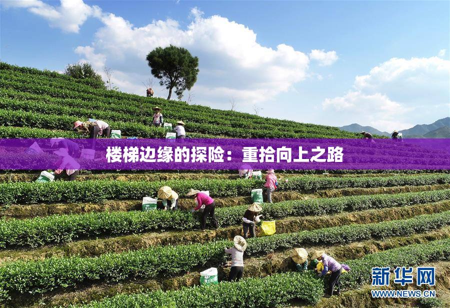 楼梯边缘的探险：重拾向上之路