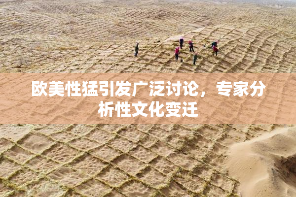 欧美性猛引发广泛讨论，专家分析性文化变迁