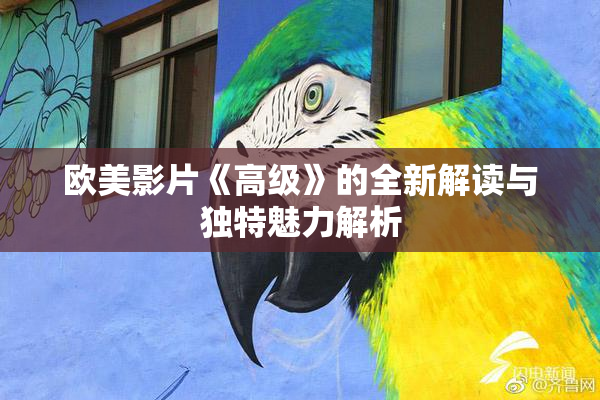 欧美影片《高级》的全新解读与独特魅力解析