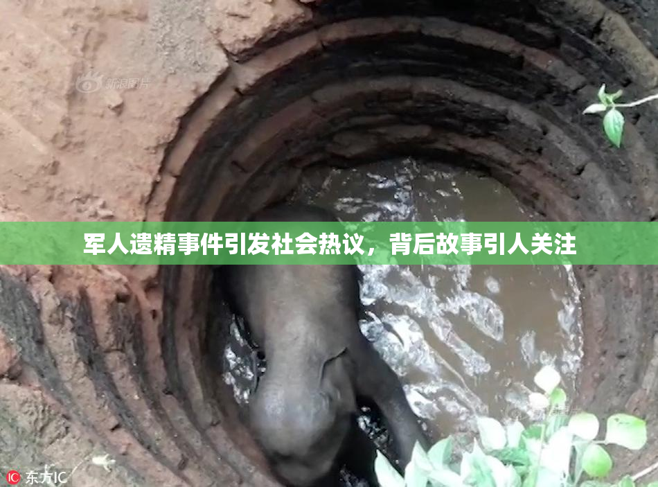 军人遗精事件引发社会热议，背后故事引人关注