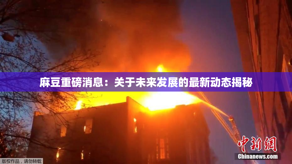 麻豆重磅消息：关于未来发展的最新动态揭秘