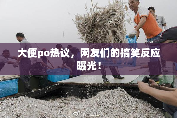 大便po热议，网友们的搞笑反应曝光！