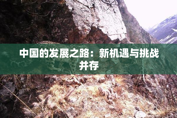 中国的发展之路：新机遇与挑战并存