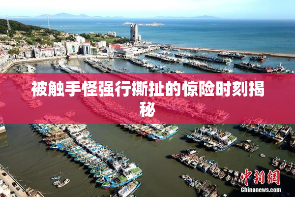 被触手怪强行撕扯的惊险时刻揭秘