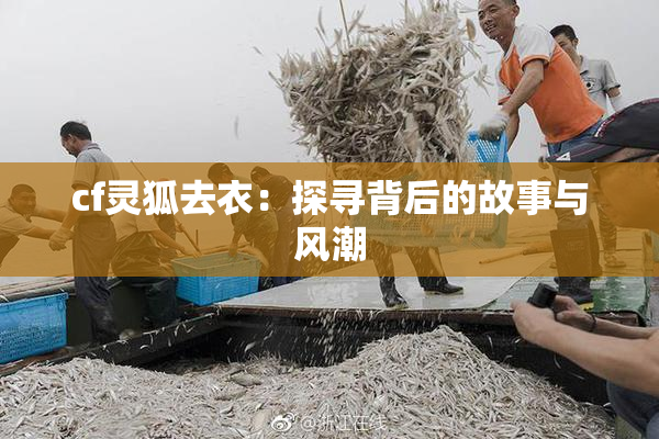 cf灵狐去衣：探寻背后的故事与风潮