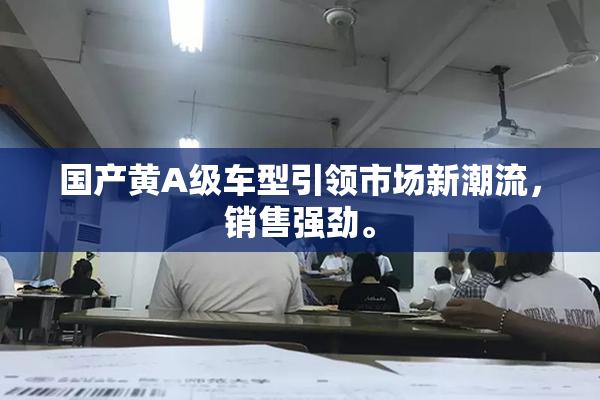 国产黄A级车型引领市场新潮流，销售强劲。
