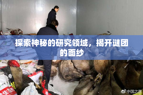 探索神秘的研究领域，揭开谜团的面纱
