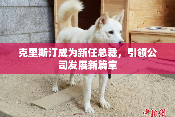 克里斯汀成为新任总裁，引领公司发展新篇章