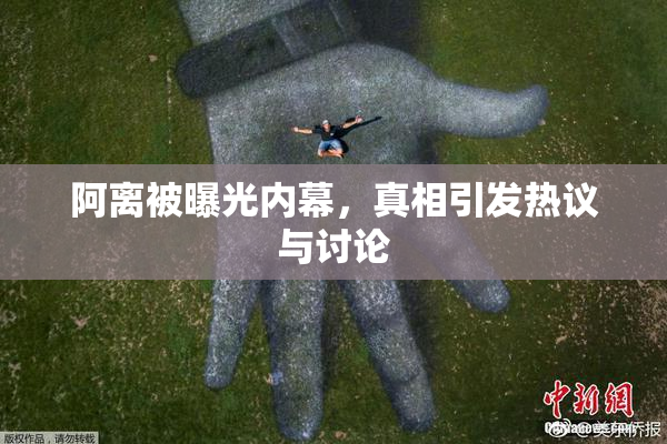 阿离被曝光内幕，真相引发热议与讨论