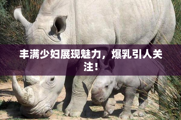 丰满少妇展现魅力，爆乳引人关注！