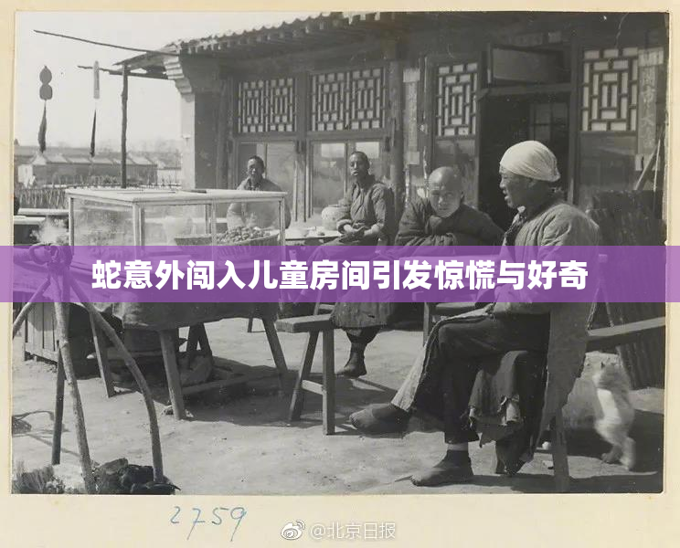 蛇意外闯入儿童房间引发惊慌与好奇