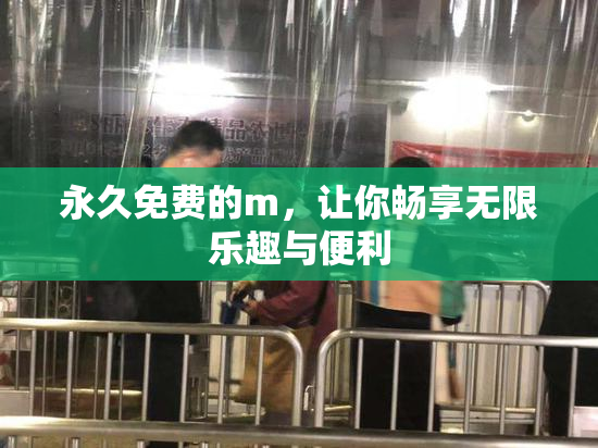 永久免费的m，让你畅享无限乐趣与便利