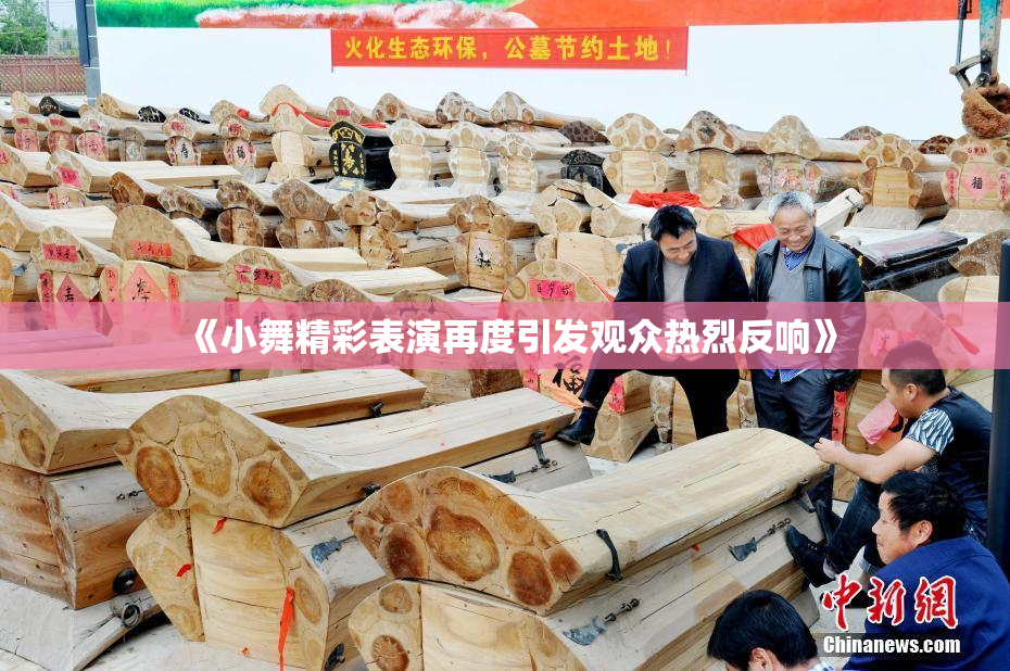 《小舞精彩表演再度引发观众热烈反响》