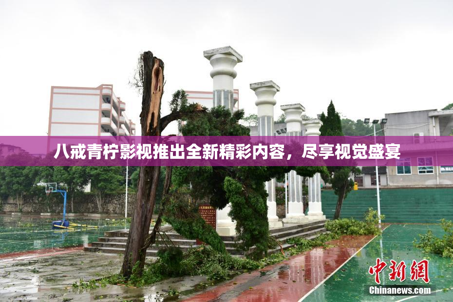 八戒青柠影视推出全新精彩内容，尽享视觉盛宴