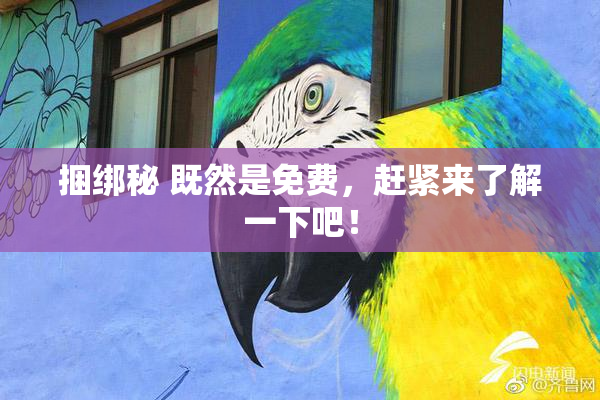 捆绑秘 既然是免费，赶紧来了解一下吧！