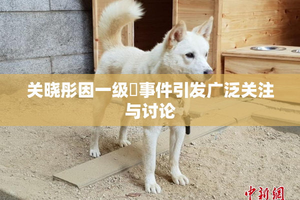 关晓彤因一级婬事件引发广泛关注与讨论