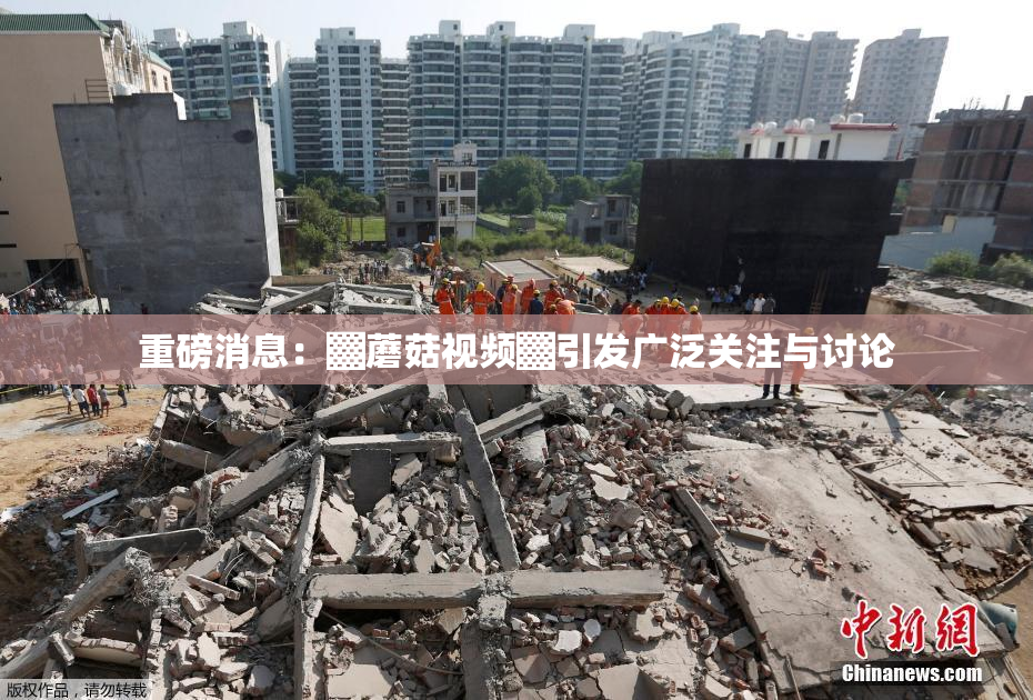 重磅消息：▓蘑菇视频▓引发广泛关注与讨论