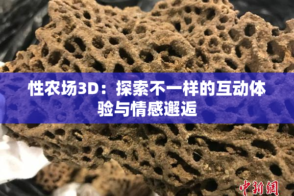 性农场3D：探索不一样的互动体验与情感邂逅