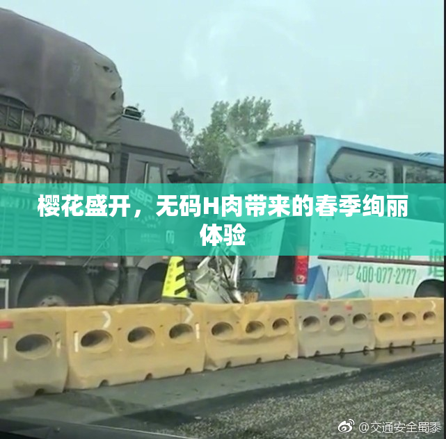 樱花盛开，无码H肉带来的春季绚丽体验