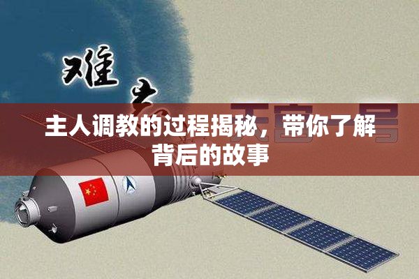 主人调教的过程揭秘，带你了解背后的故事