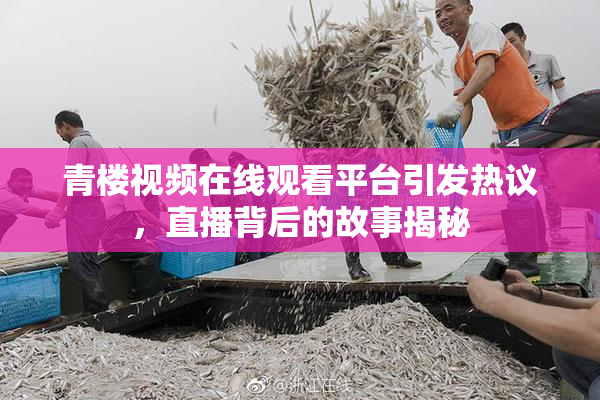 青楼视频在线观看平台引发热议，直播背后的故事揭秘