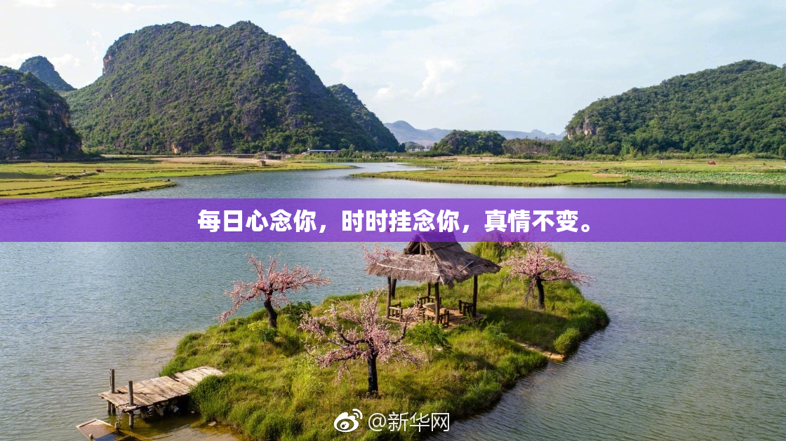每日心念你，时时挂念你，真情不变。