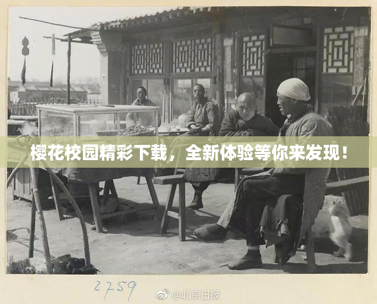 樱花校园精彩下载，全新体验等你来发现！