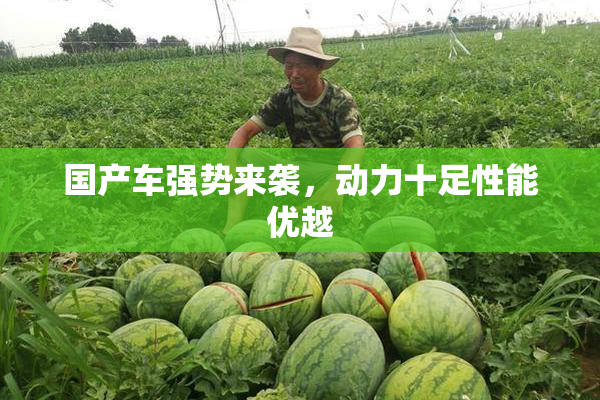 国产车强势来袭，动力十足性能优越