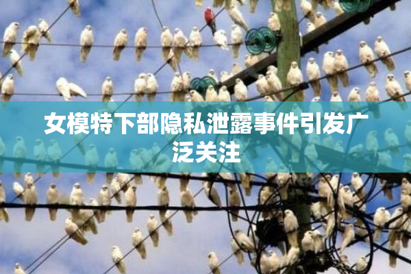 女模特下部隐私泄露事件引发广泛关注