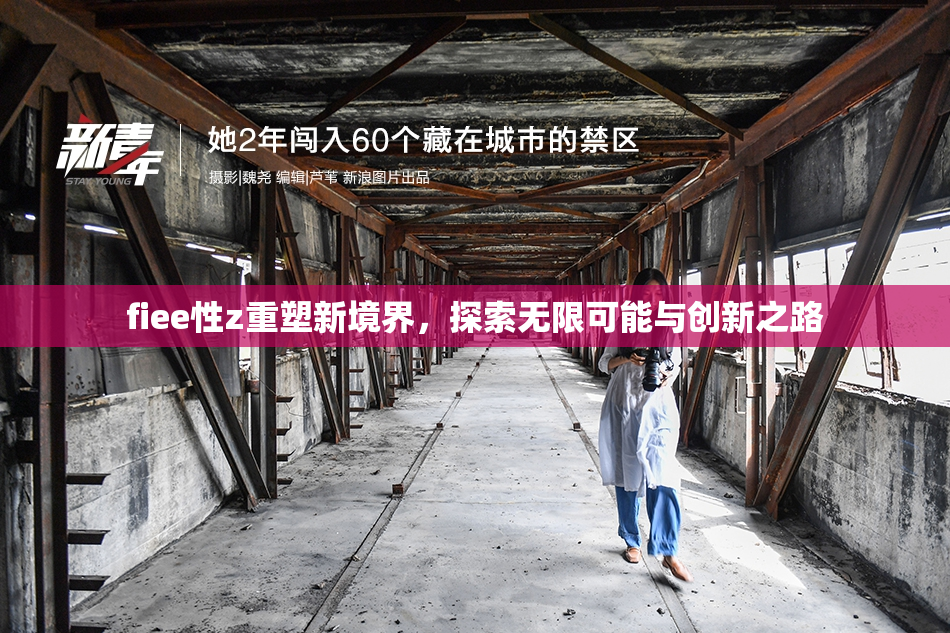 fiee性z重塑新境界，探索无限可能与创新之路
