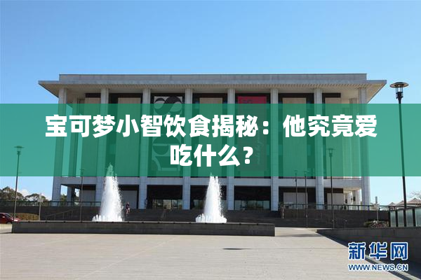 宝可梦小智饮食揭秘：他究竟爱吃什么？