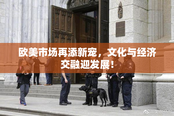欧美市场再添新宠，文化与经济交融迎发展！
