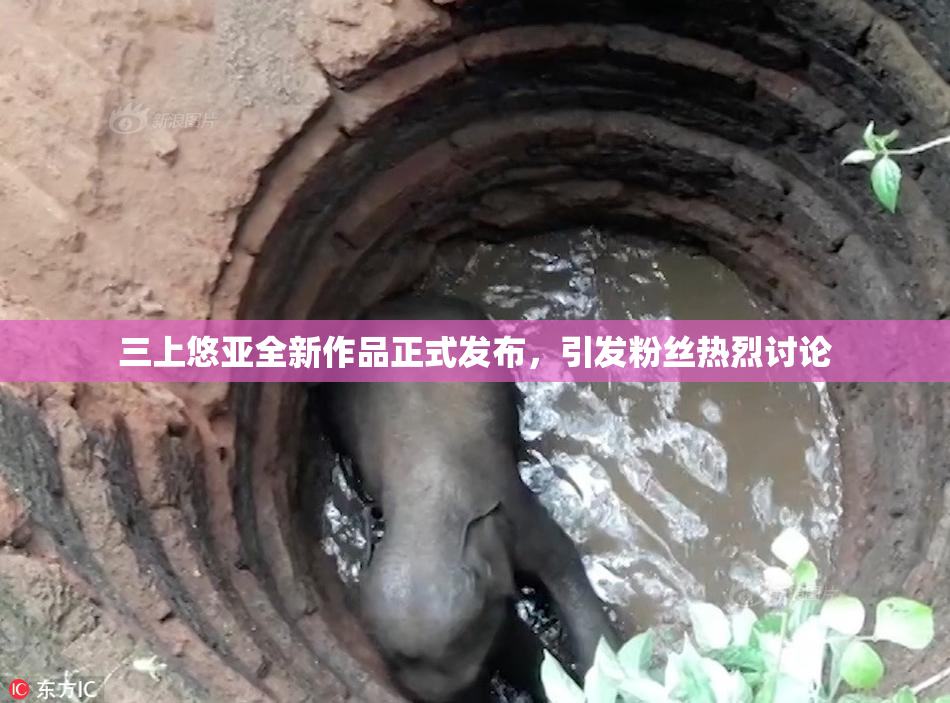 三上悠亚全新作品正式发布，引发粉丝热烈讨论
