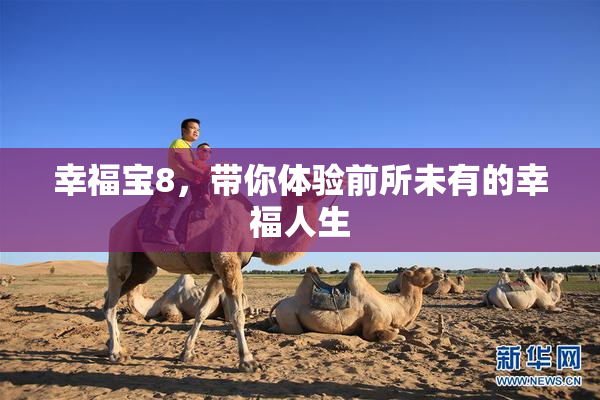 幸福宝8，带你体验前所未有的幸福人生