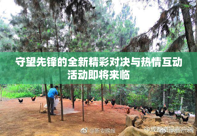 守望先锋的全新精彩对决与热情互动活动即将来临