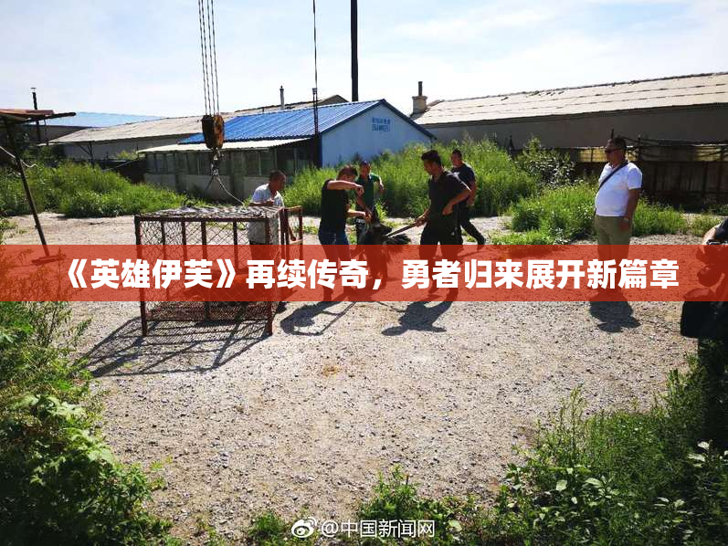 《英雄伊芙》再续传奇，勇者归来展开新篇章