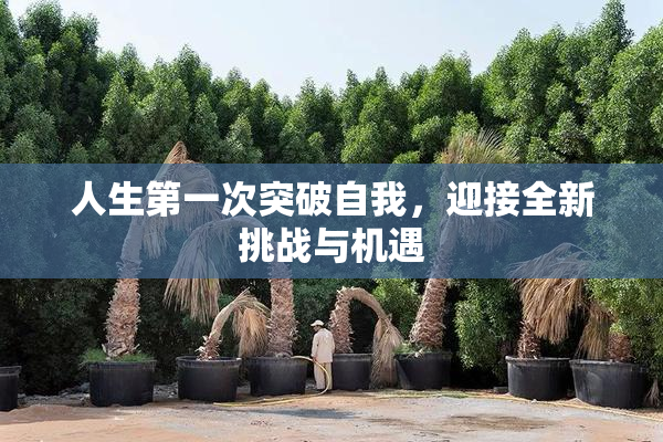 人生第一次突破自我，迎接全新挑战与机遇